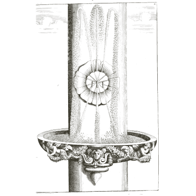 Rosette head on a column over a carved bowl - Architectura Curiosa Nova - 1664