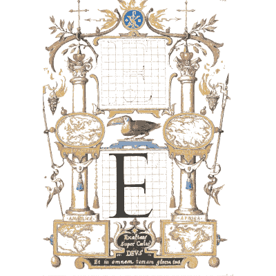 Calligraphic capital E with toucan - Mira Calligraphiae Monumenta (The Model Book of Calligraphy) - 1596