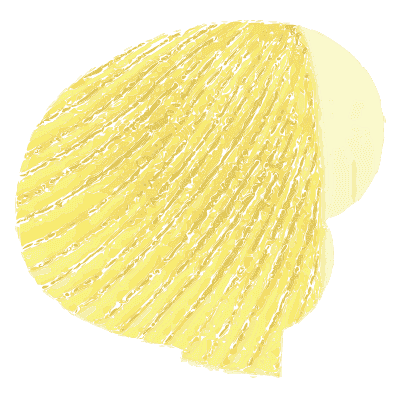 Yellow gilled mushroom - Icones Mycologicae - 1905