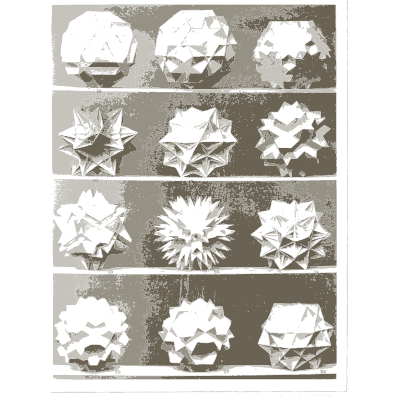Spiny polyhedron models 02 - Vielecke und Vielflache: Theorie und Geschichte - 1900