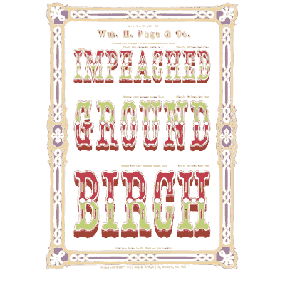 Flower corner border - Specimens of Chromatic Wood Type, Borders etc. - 1874