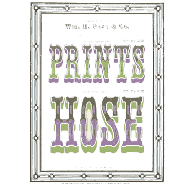 Double rule frame - Specimens of Chromatic Wood Type, Borders etc. - 1874
