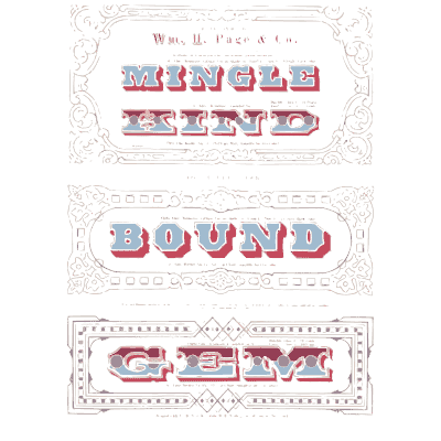 Three ruled name panels - Specimens of Chromatic Wood Type, Borders etc. - 1874