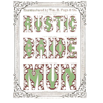 Lace frame with rustic twig letters - Specimens of Chromatic Wood Type, Borders etc. - 1874