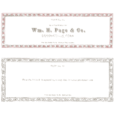 Plain ruled label panels - Specimens of Chromatic Wood Type, Borders etc. - 1874