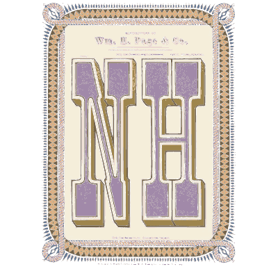 Striped border with purple initials - Specimens of Chromatic Wood Type, Borders etc. - 1874