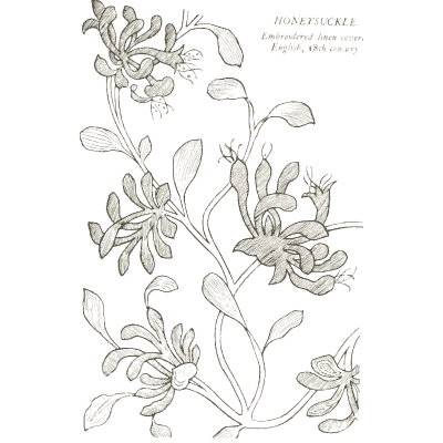Honeysuckle embroidery - Heraldry and Floral Forms as Used in Decoration - 1922