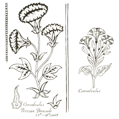 Convolvulus brocade motifs - Heraldry and Floral Forms as Used in Decoration - 1922