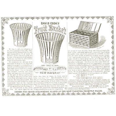 Fruit baskets advertisement - Illustrated Catalogue of Carriages - 1860