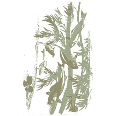 Bamboo foliage - A Grammar of Japanese Ornament and Design - 1880