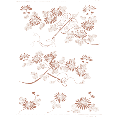 Chrysanthemum sprays plate - A Grammar of Japanese Ornament and Design - 1880