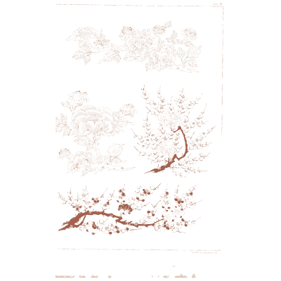 Peony and plum blossom plate - A Grammar of Japanese Ornament and Design - 1880