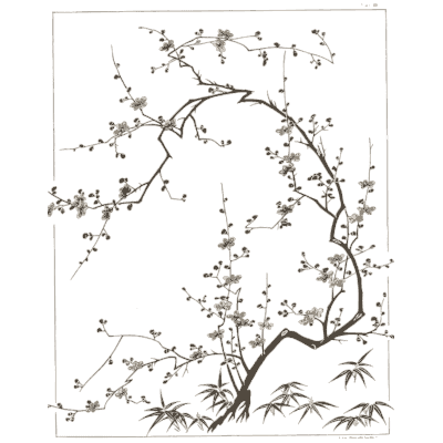 Flowering plum branch - A Grammar of Japanese Ornament and Design - 1880