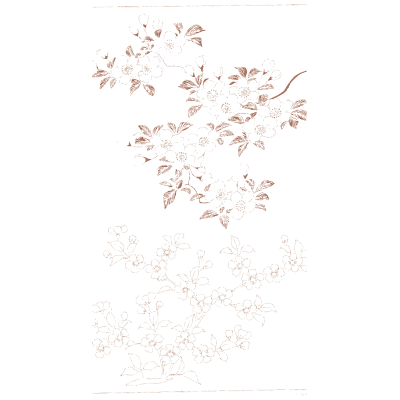 Cherry blossom sprays - A Grammar of Japanese Ornament and Design - 1880
