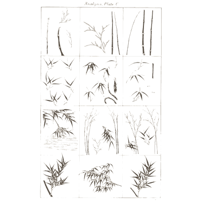 Bamboo brush study analysis plate - A Grammar of Japanese Ornament and Design - 1880
