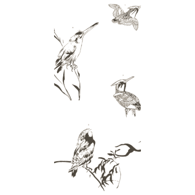 Kingfisher and small birds - A Grammar of Japanese Ornament and Design - 1880