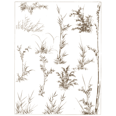 Bamboo studies plate - A Grammar of Japanese Ornament and Design - 1880