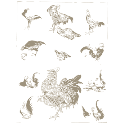 Cockerel and bird sketches plate - A Grammar of Japanese Ornament and Design - 1880