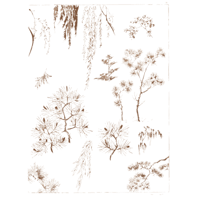 Willow and pine studies plate - A Grammar of Japanese Ornament and Design - 1880