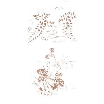 Wisteria and water plant plate - A Grammar of Japanese Ornament and Design - 1880
