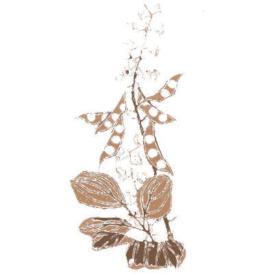 Orchid spray 02 - A Grammar of Japanese Ornament and Design - 1880