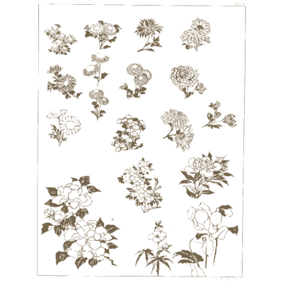 Scattered flower heads - A Grammar of Japanese Ornament and Design - 1880
