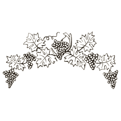 Grapevine garland - The Embroiderer's Book of Design - 1891