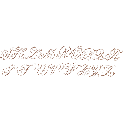 Script alphabet - The Embroiderer's Book of Design - 1891