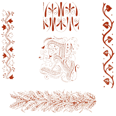 Worked borders and decorated initial - The Embroiderer's Book of Design - 1891
