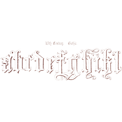 Faint gothic lowercase - The Book of Ornamental Alphabets, Ancient and Medieval - 1862