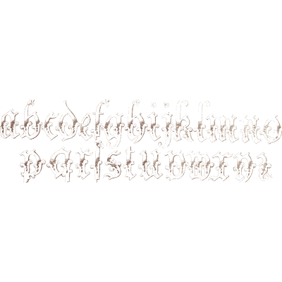 Faint decorated lowercase - The Book of Ornamental Alphabets, Ancient and Medieval - 1862