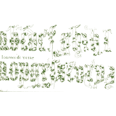 Green foliate capitals - The Book of Ornamental Alphabets, Ancient and Medieval - 1862