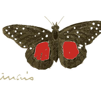 Black butterfly with red hindwing patches - Illustrations of Exotic Entomology - 1837