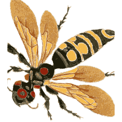 Large yellow and black wasp - Illustrations of Exotic Entomology - 1837