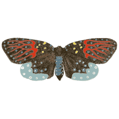 Red and blue patterned moth - Illustrations of Exotic Entomology - 1837