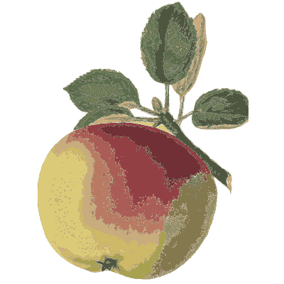 Red and yellow apple 01 - Flora and Pomona, or the British Fruit and Flower Garden - 1829
