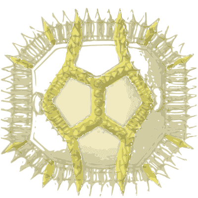 Red pollen grain with sunken panels - Ueber den Pollen - 1837
