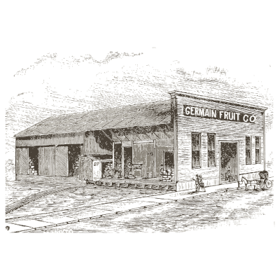 Fruit company storefront - Catalogue of Seeds, Agricultural and Horticultural Supplies - 1893