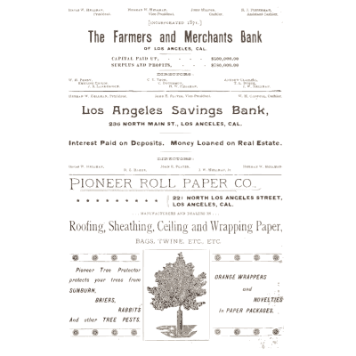 Ornament 04 - Catalogue of Seeds, Agricultural and Horticultural Supplies - 1893