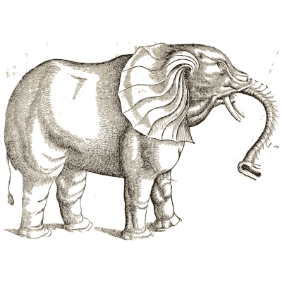 Elephant - Icones Animalium - 1560