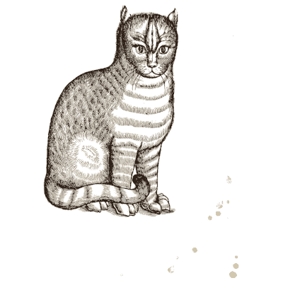 Seated cat 03 - Icones Animalium - 1560