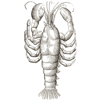Lobster 06 - Icones Animalium - 1560