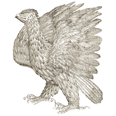 Eagle 01 - Icones Animalium - 1560