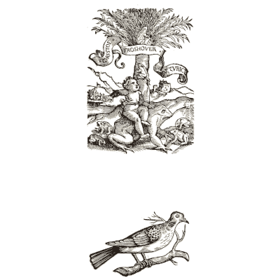 Tree vignette and bird - Icones Animalium - 1560