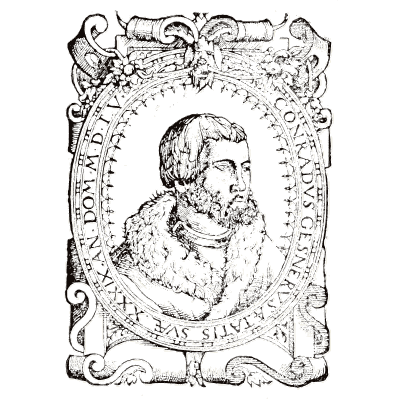 Portrait in an oval cartouche - Icones Animalium - 1560