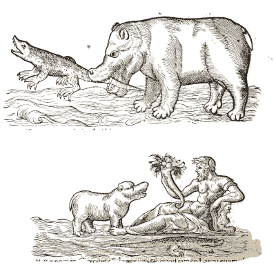 Bear and merman scenes - Icones Animalium - 1560