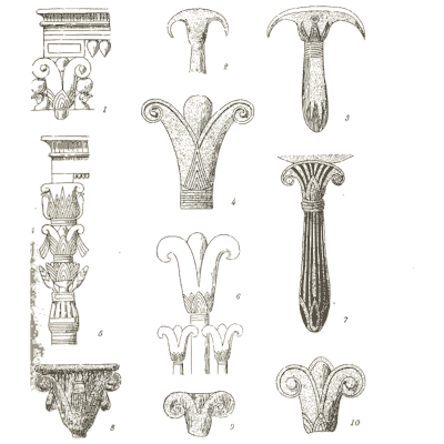 Lotus capitals and bud forms - The Grammar of the Lotus - 1891