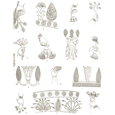 Lotus flowers and figures - The Grammar of the Lotus - 1891