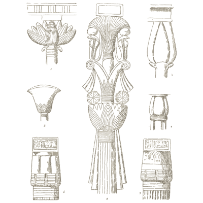 Lotus column and capital studies - The Grammar of the Lotus - 1891
