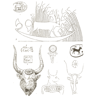 Papyrus boat and bull heads - The Grammar of the Lotus - 1891